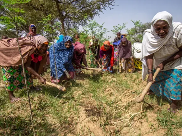 Inégalités sociales et déficit d’accès à la terre pour les femmes : un frein au développement communautaire en Afrique et au Sahel